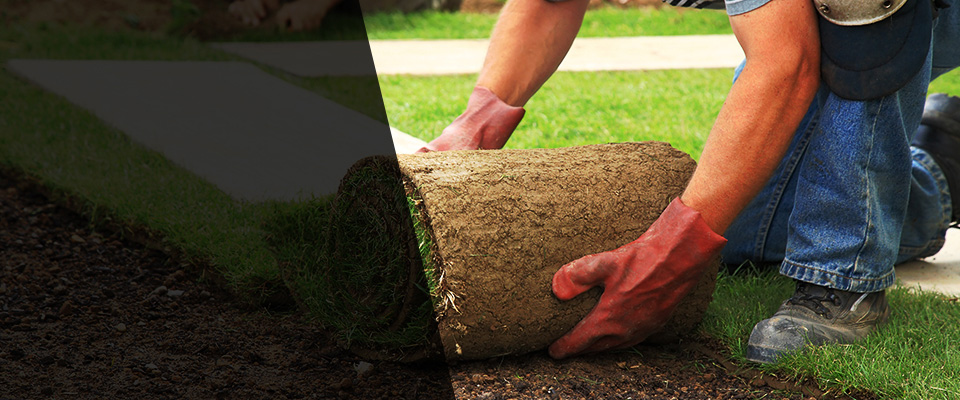 Kintnersville Landscapers